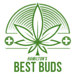 hbb-logo-full-green hbb-logo-full-green